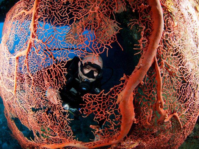 Lissenung Island Resort