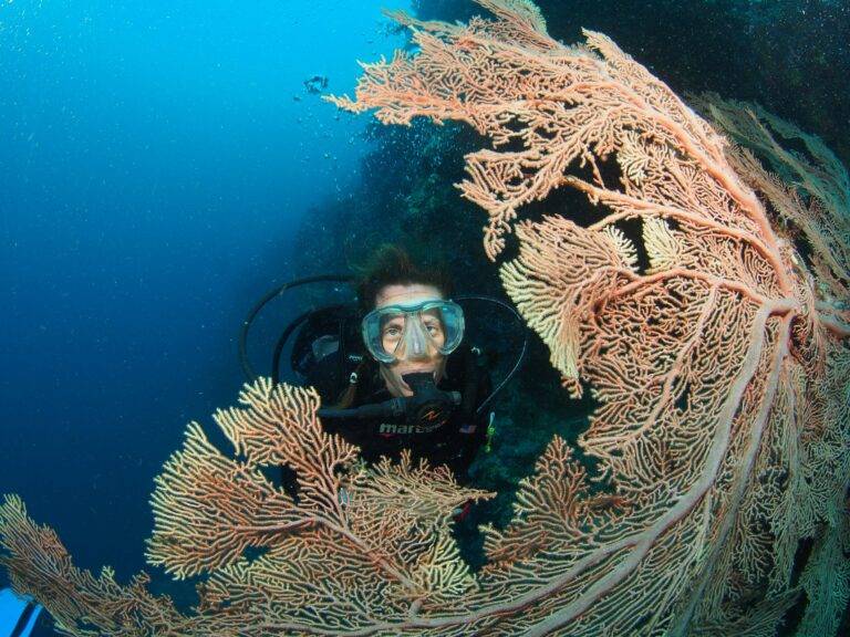 Lissenung Island Resort