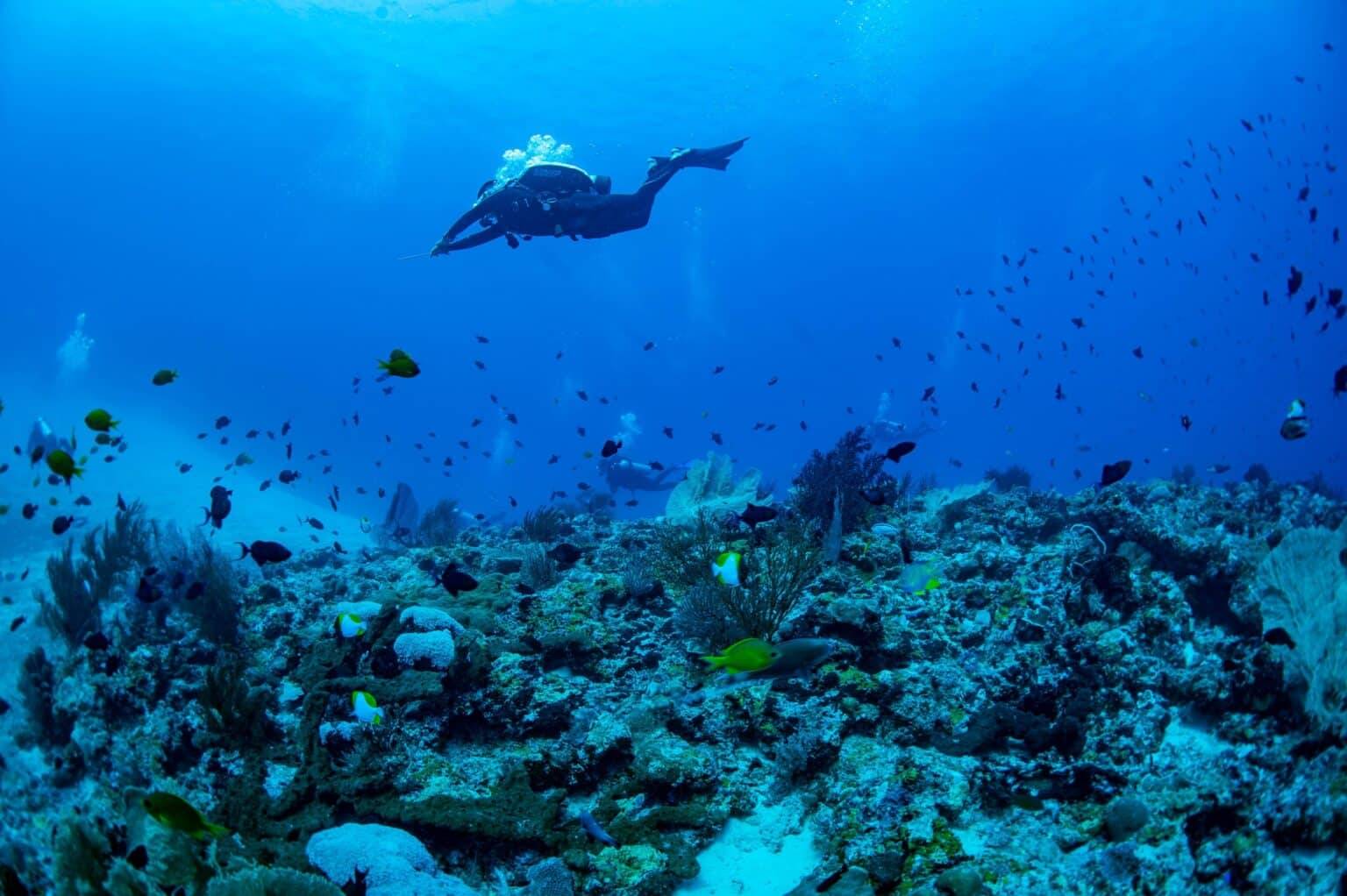 Easy Waves with Scuba Diving in Bali Easy Waves with Scuba Diving in Bali