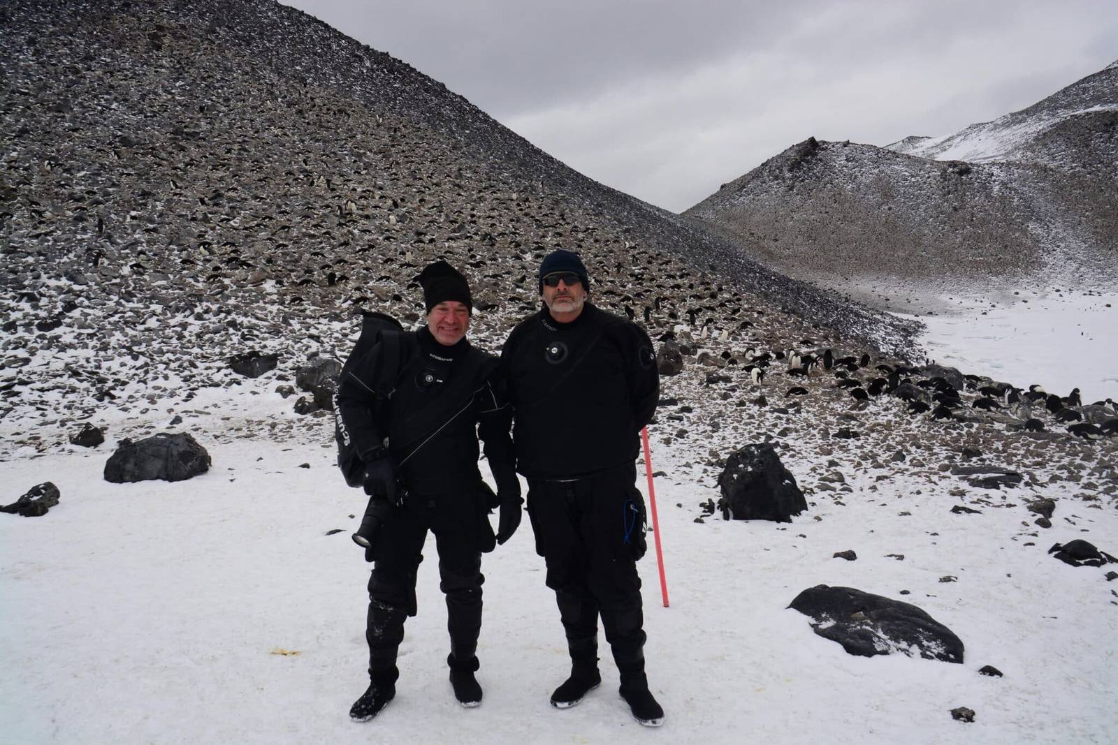 On our Antarctica Dive Expeditions, All are welcome. Divers and Non Divers On our Antarctica Dive Expeditions, All are welcome. Divers and Non Divers