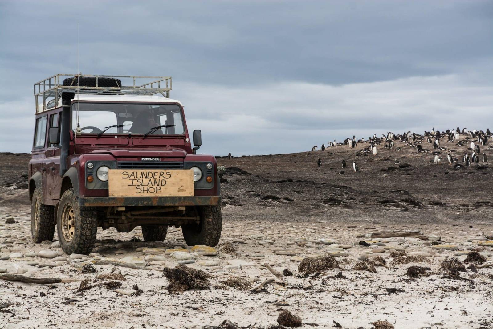 South Georgia & Falkland Islands