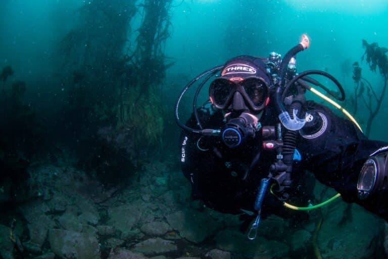 South Georgia & Falkland Islands