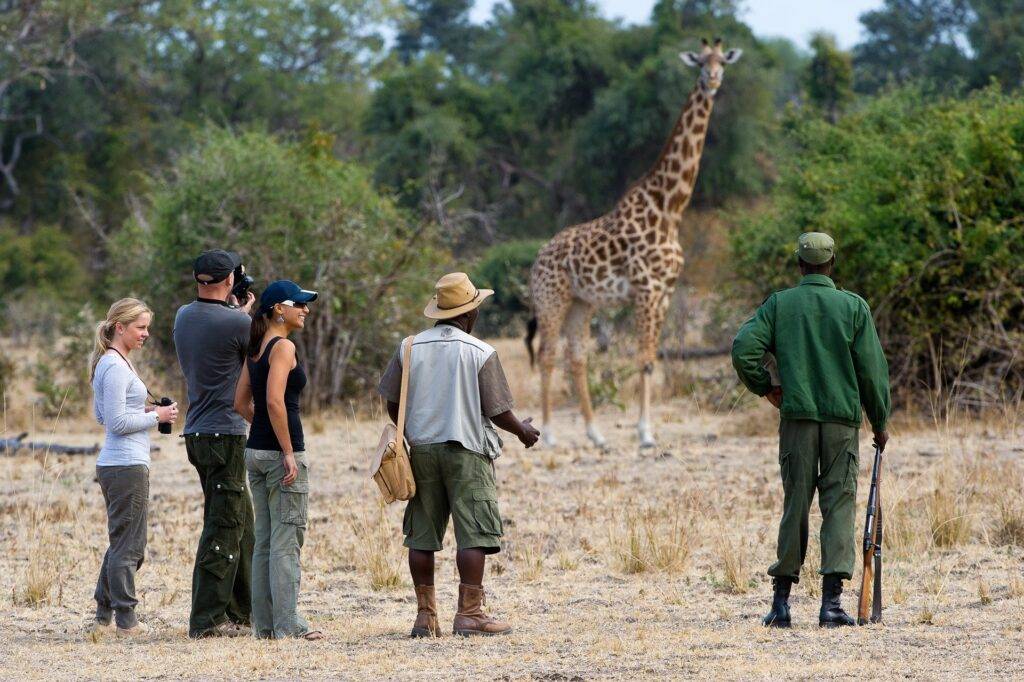 Luxury Safari Tours Africa