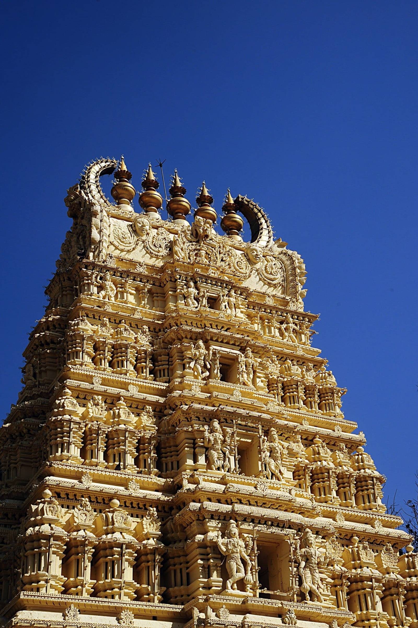 Cental South Indian Cultural Tours