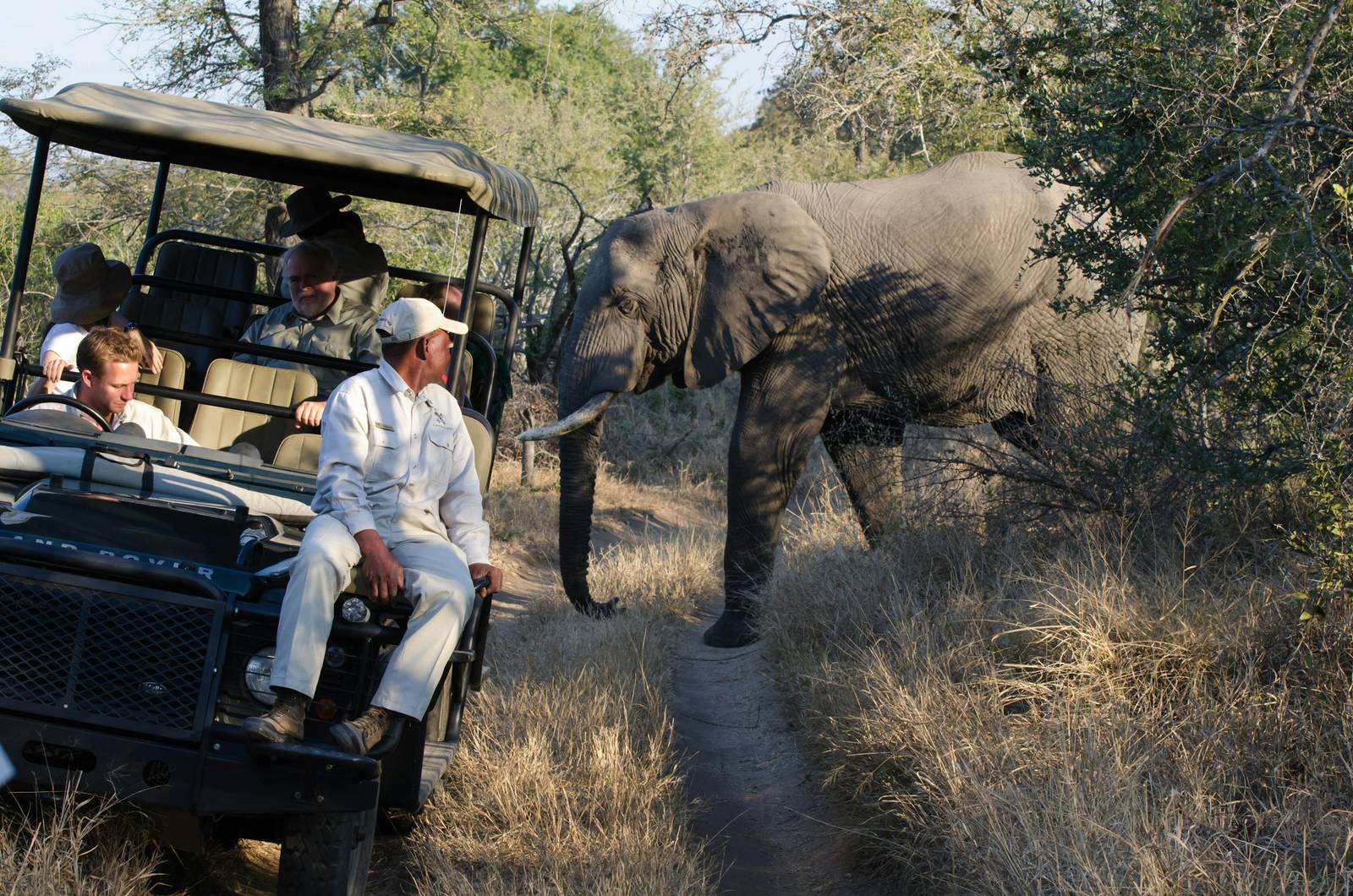 Luxury African Safari Company Creating Tailored Made Africa Luxury Experiences